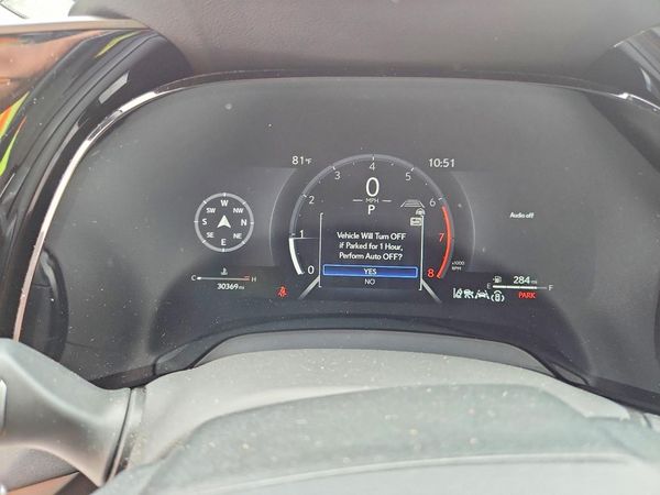 2025 LEXUS RX 350