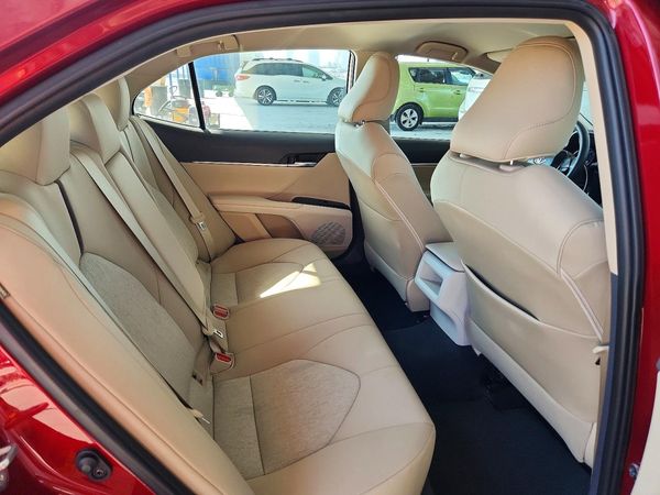 2019 TOYOTA CAMRY L/LE/SE/XLE