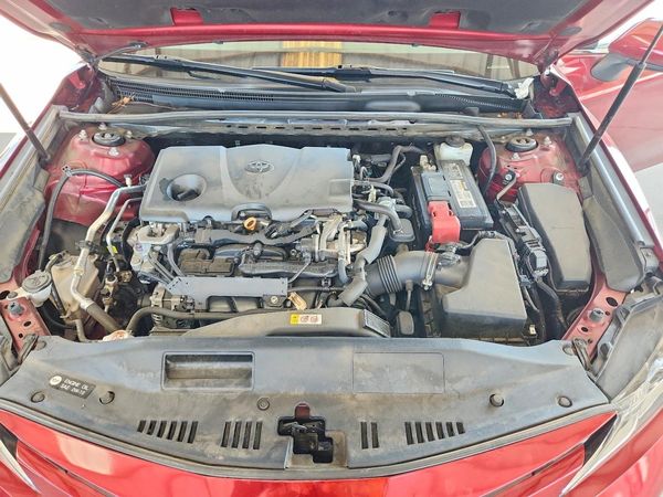 2019 TOYOTA CAMRY L/LE/SE/XLE