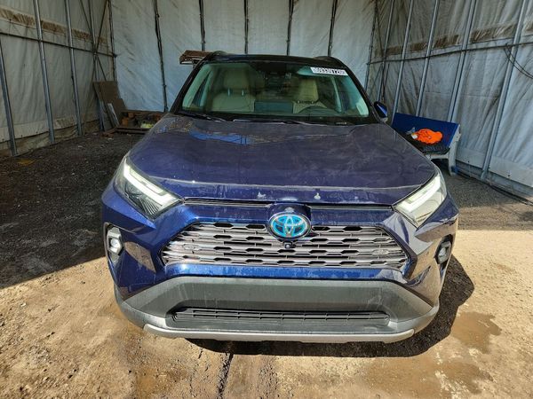 2023 TOYOTA RAV4 Limited — DIRF