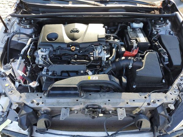 2019 TOYOTA CAMRY L/LE/SE/XLE