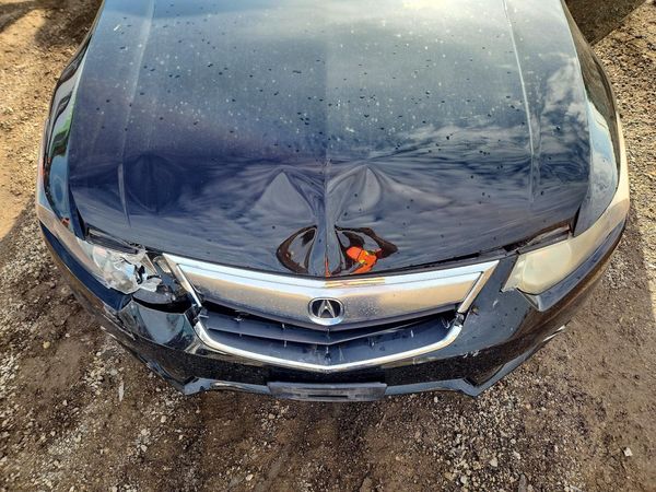 2013 ACURA TSX — Engine bay