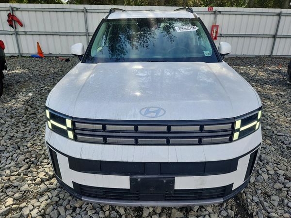 2024 HYUNDAI SANTA FE — DIRF