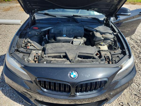 2014 BMW 228