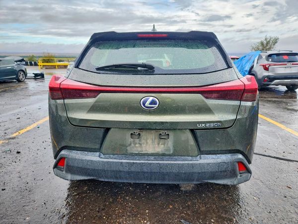2020 LEXUS UX — DIRR