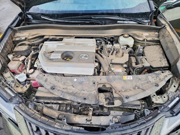 2020 LEXUS UX — Engine bay