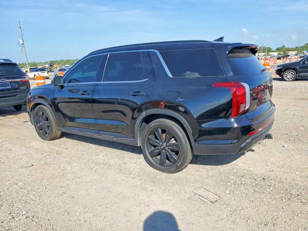 2025 HYUNDAI PALISADE — DSRA