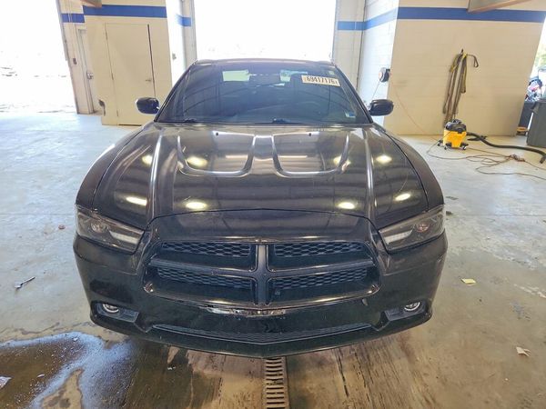 2014 DODGE CHARGER — DIRF