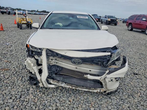 2019 TOYOTA CAMRY L/LE/SE/XLE — DIRF