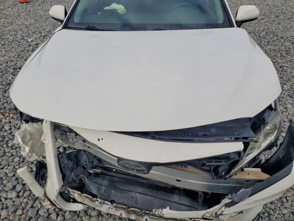 2019 TOYOTA CAMRY L/LE/SE/XLE — Engine bay