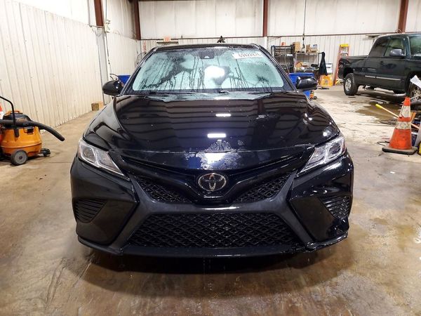 2019 TOYOTA CAMRY L/LE/SE/XLE — DIRF
