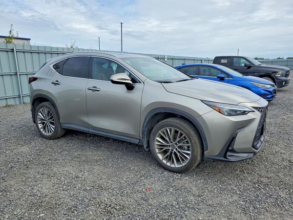 2022 LEXUS NX 350 Premium — Passenger 3/4