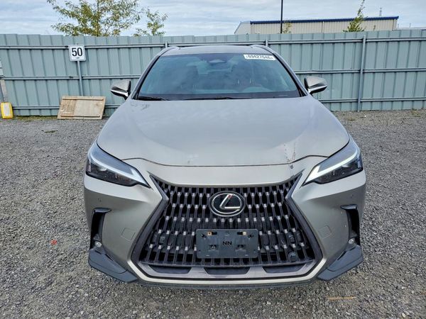 2022 LEXUS NX 350 Premium — DIRF