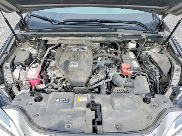 2022 LEXUS NX 350 Premium — Engine bay