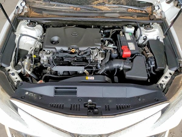 2019 TOYOTA CAMRY L/LE/SE/XLE — Engine bay