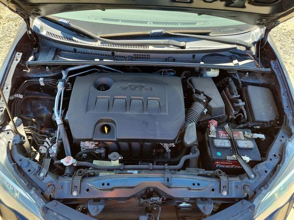 2019 TOYOTA COROLLA L/LE/SE/XLE/XSE — Engine bay