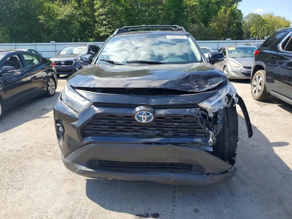 2024 TOYOTA RAV4 Others