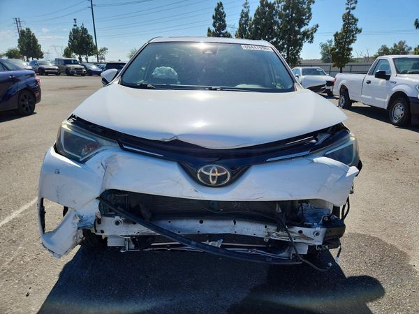 2018 TOYOTA RAV4 Adventure/XLE — DIRF