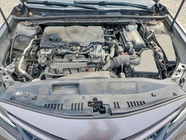 2019 TOYOTA CAMRY L/LE/SE/XLE — Engine bay