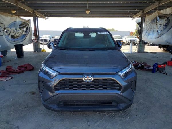 2024 TOYOTA RAV4 XLE — DIRF