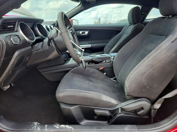2019 FORD MUSTANG — DENT
