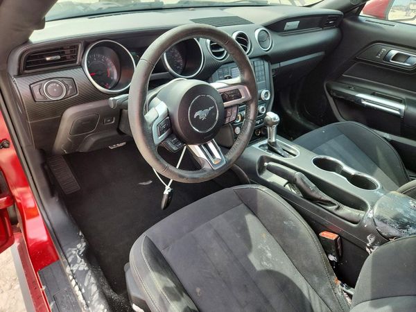 2019 FORD MUSTANG — CKPT