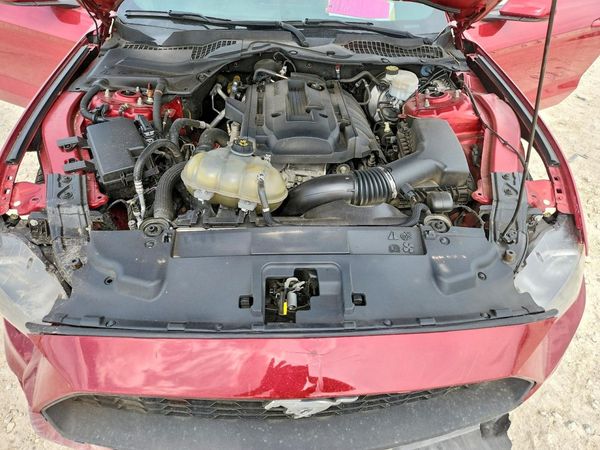 2019 FORD MUSTANG — Engine bay