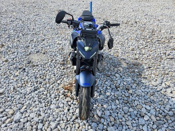 2025 YAMAHA MTN690 — DIRF