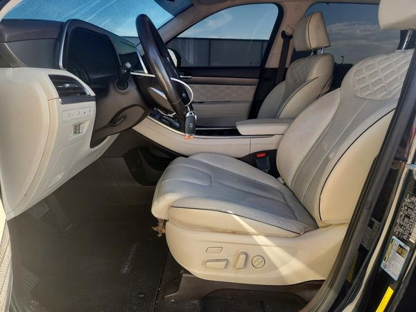 2020 HYUNDAI PALISADE — DENT