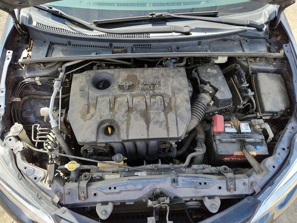 2014 TOYOTA COROLLA ECO/ECO PLUS