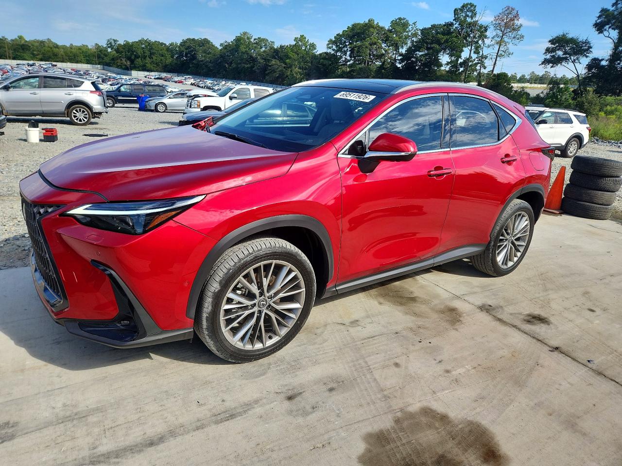 Lexus NX