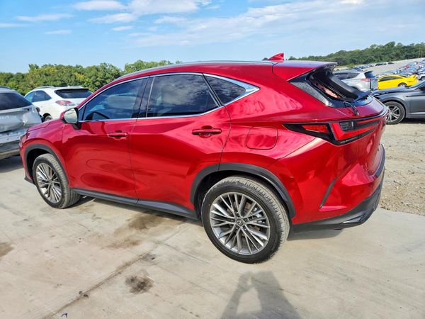 2026 LEXUS NX 350H 350h Luxury — DSRA