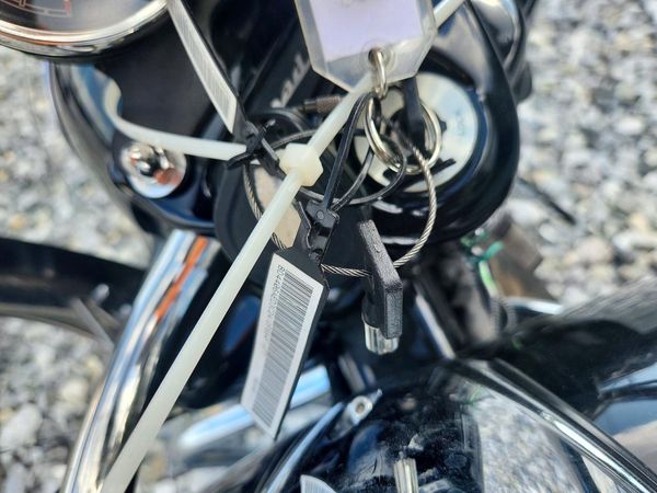 2019 HARLEY-DAVIDSON FL