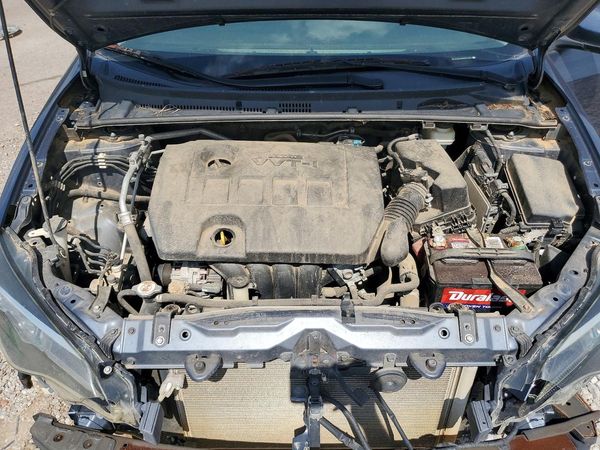 2019 TOYOTA COROLLA L/LE/SE/XLE/XSE — Engine bay