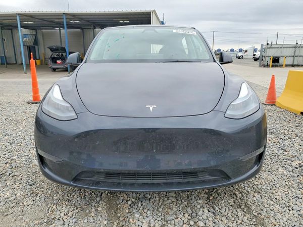 2025 TESLA MODEL Y — DIRF