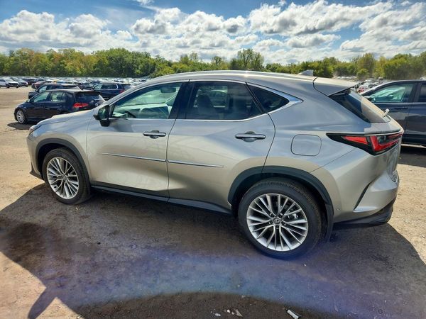2026 LEXUS NX 350 Luxury — DSRA
