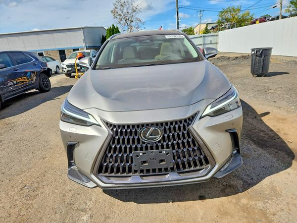 2026 LEXUS NX 350 Luxury — DIRF