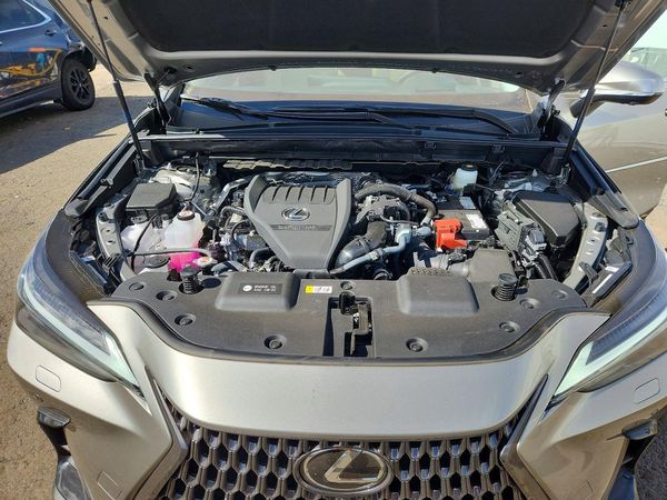 2026 LEXUS NX 350 Luxury — Engine bay