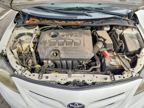 2013 TOYOTA COROLLA — Engine bay
