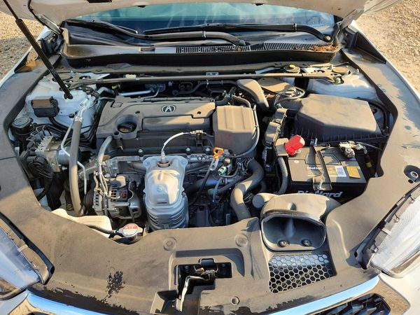 2019 ACURA TLX — Engine bay