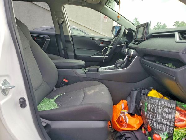 2019 TOYOTA RAV4 — DENT