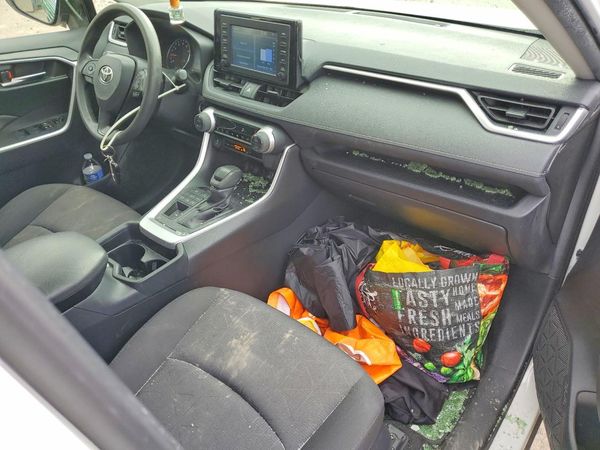 2019 TOYOTA RAV4 — CKPT