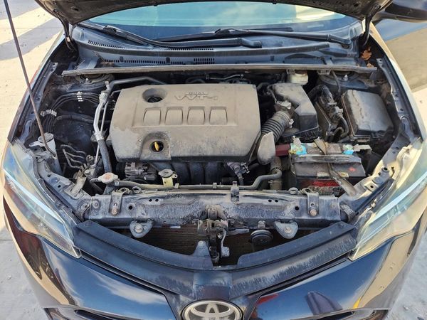 2019 TOYOTA COROLLA L/LE/SE/XLE/XSE — Engine bay