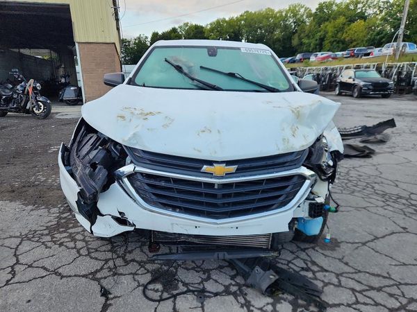 2019 CHEVROLET EQUINOX LS — DIRF
