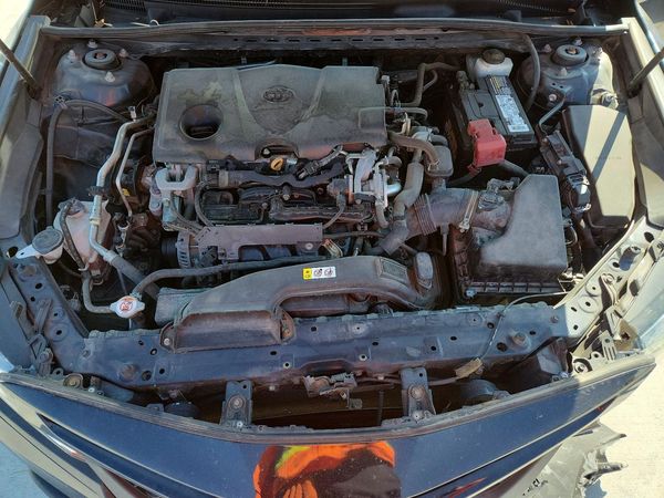 2019 TOYOTA CAMRY L/LE/SE/XLE — Engine bay