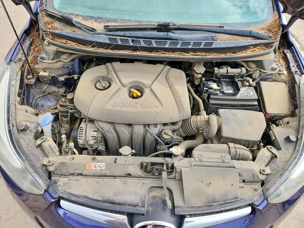2014 HYUNDAI ELANTRA GLS(Middle) — Engine bay