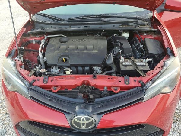 2019 TOYOTA COROLLA L/LE/SE/XLE/XSE — Engine bay
