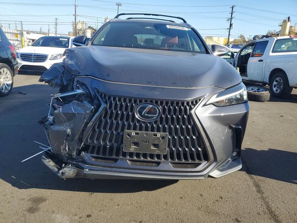 2023 LEXUS NX — DIRF