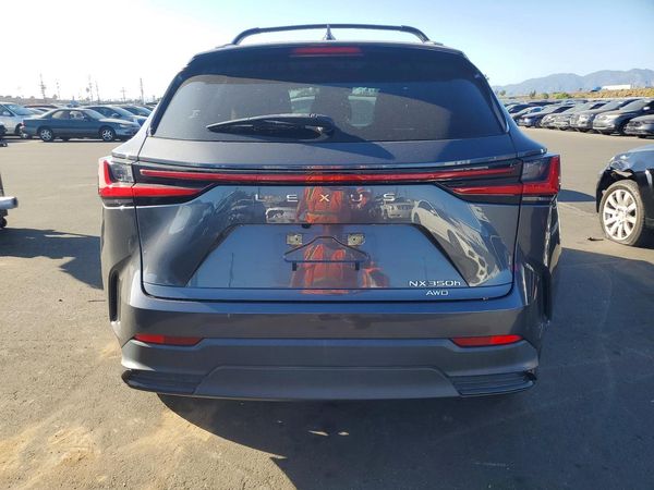 2023 LEXUS NX — DIRR