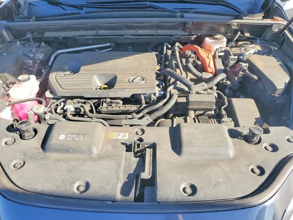 2023 LEXUS NX — Engine bay